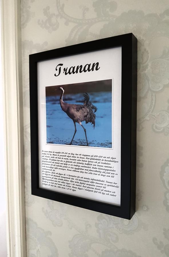 Takern Vandrarhem Svanshals Kültér fotó