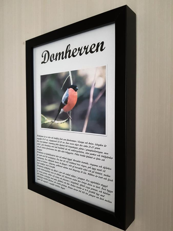 Takern Vandrarhem Svanshals Kültér fotó