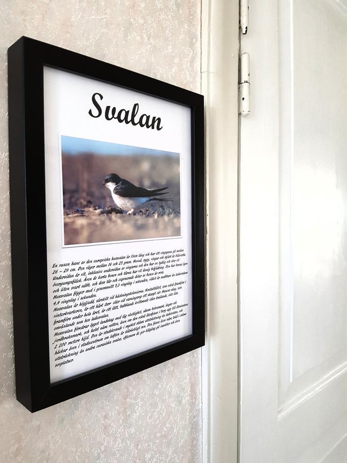 Takern Vandrarhem Svanshals Kültér fotó